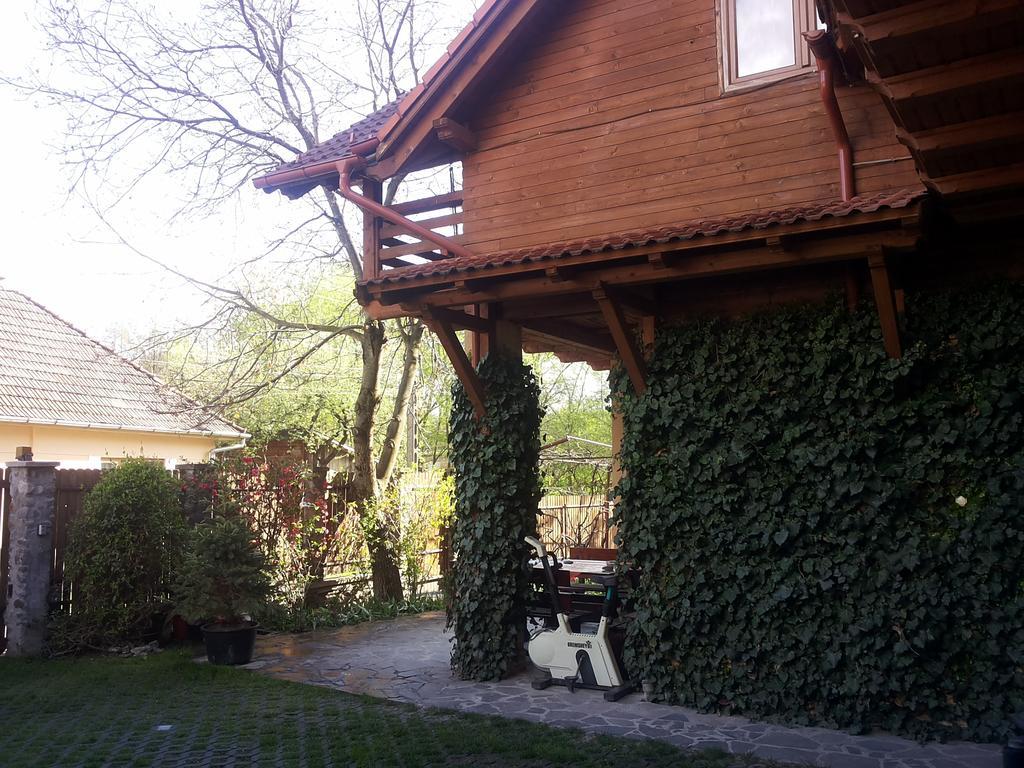 Pasager House Daire Sovata Dış mekan fotoğraf