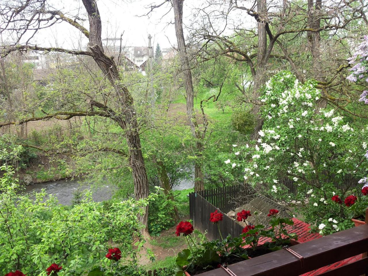 Pasager House Daire Sovata Dış mekan fotoğraf